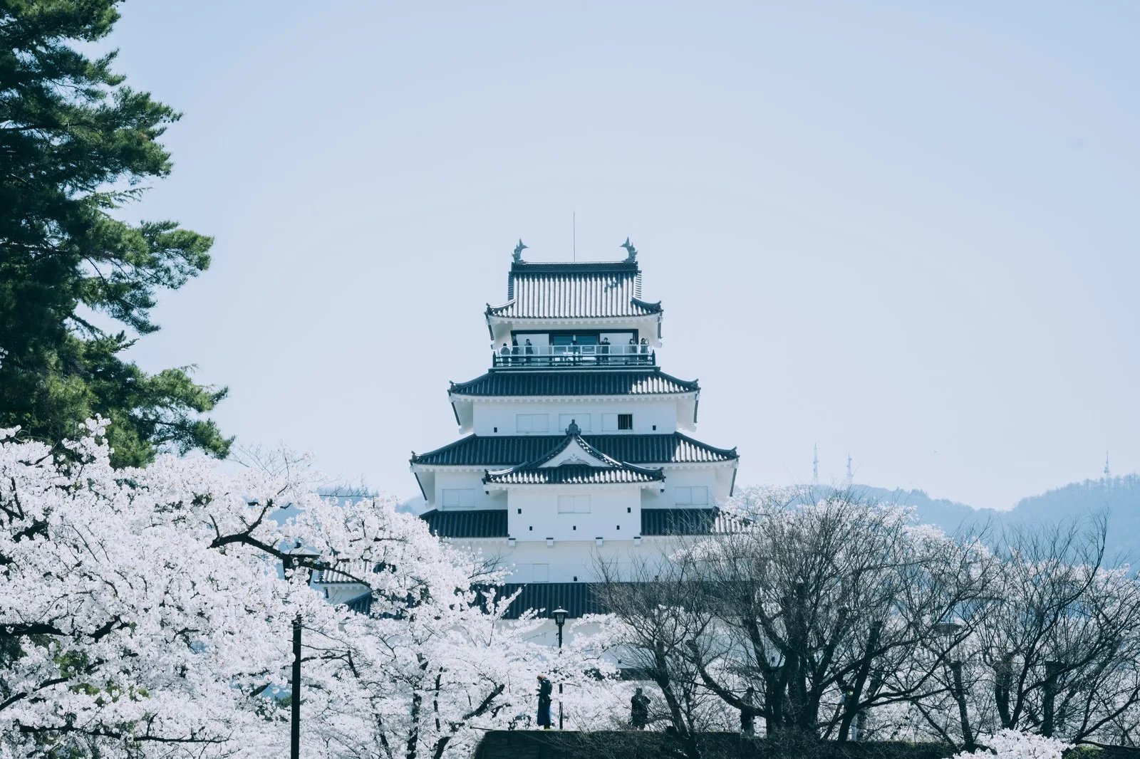 福島鶴ヶ城画像