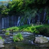 静岡白糸の滝画像