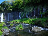 静岡白糸の滝画像