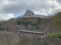 和歌山城画像