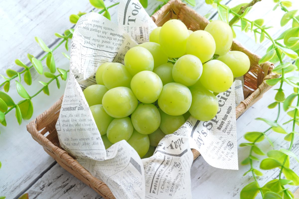 シャインマスカット