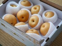 梨　果物