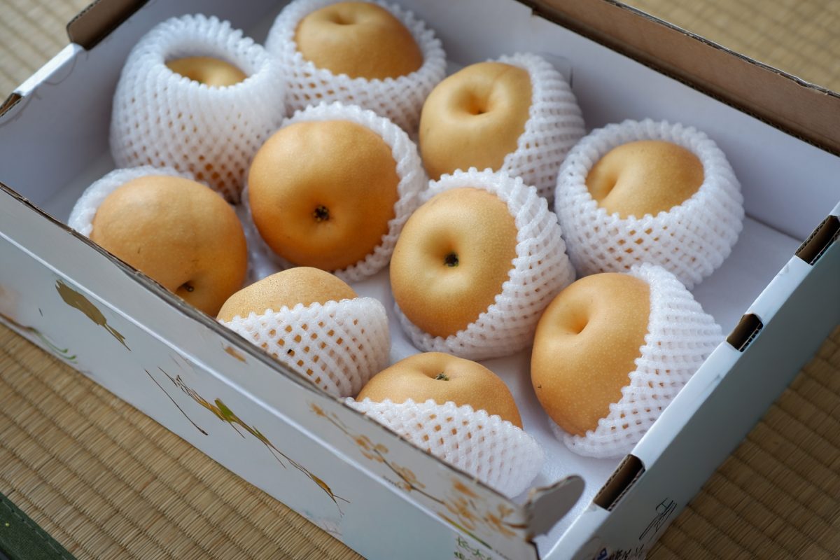 梨　果物